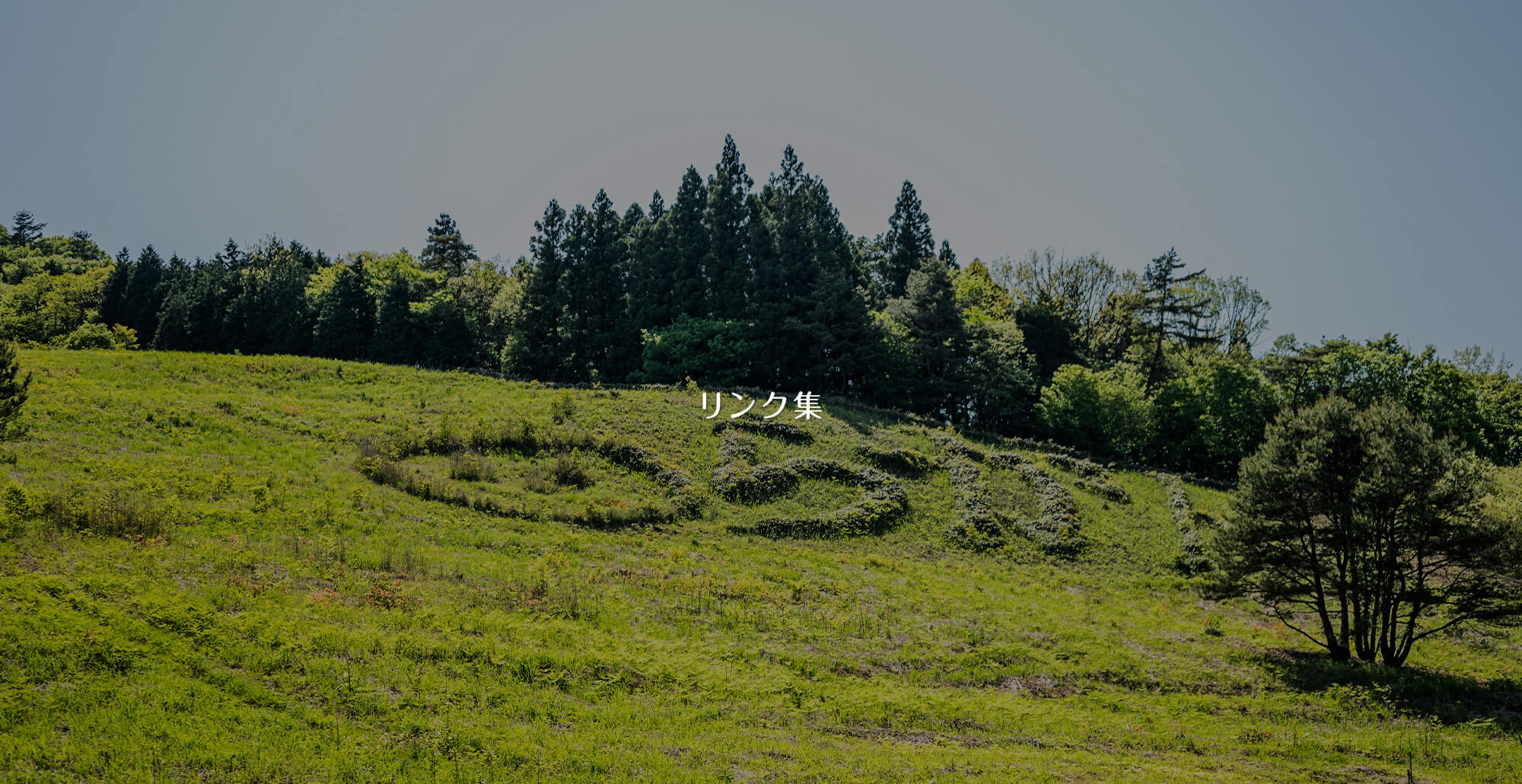 リンク集